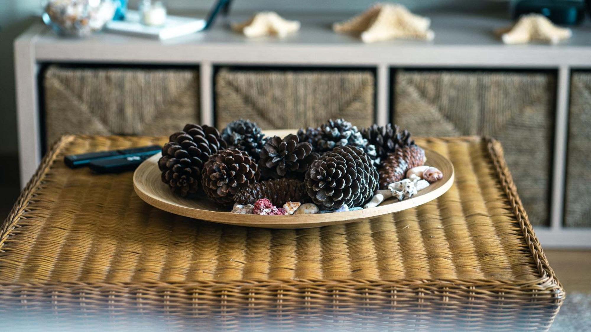 Ocean Beach House - Santa Cruz ตอร์เรส เวดรัส ภายนอก รูปภาพ